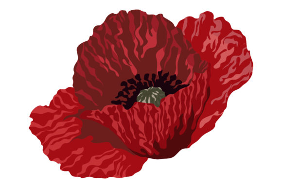 Download Beautiful Red Poppies #157 - Red poppies Collection