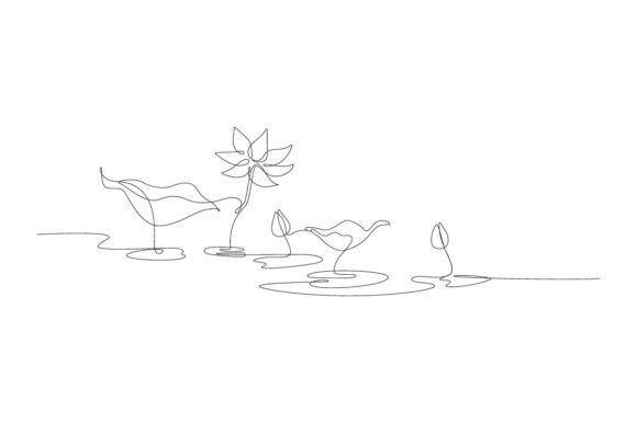 Download Lotus Water Lily Blooming and Leaf Pond - Lotus water lily Collection
