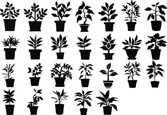 Download Potted Plants - Potted plants Collection