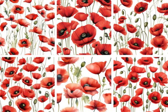 Download Red Poppies Watercolor - Red poppies Collection