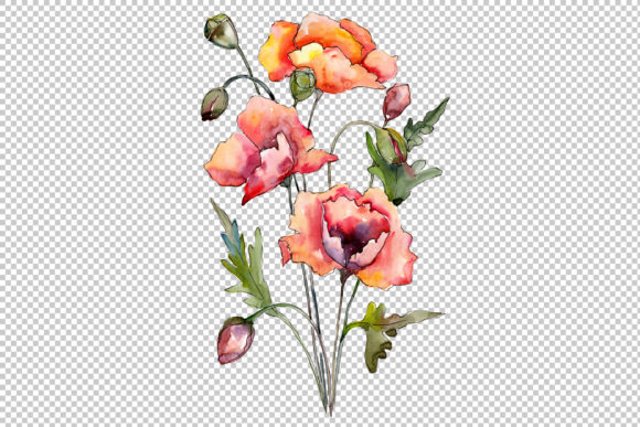 Download Bouquet of Red Poppies Watercolor Set - Red poppies Collection