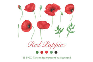 Download Red Poppies Flowers Clipart - Red poppies Collection