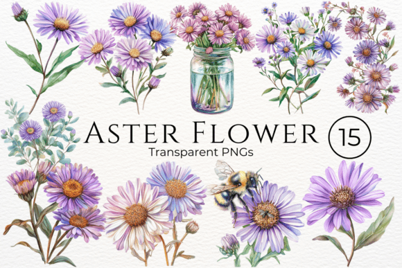 Download Aster Flower Watercolor Cliparts - Cliparts Collection