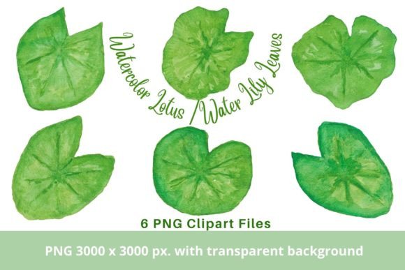 Download Green Watercolor Lotus Water Lily Leaves - Lotus water lily Collection