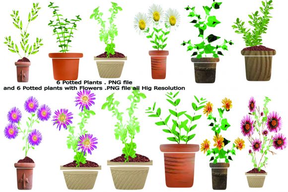 Download 12 Potted Plants - Potted plants Collection